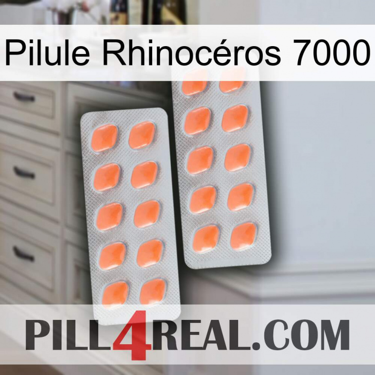 Pilule Rhinocéros 7000 27